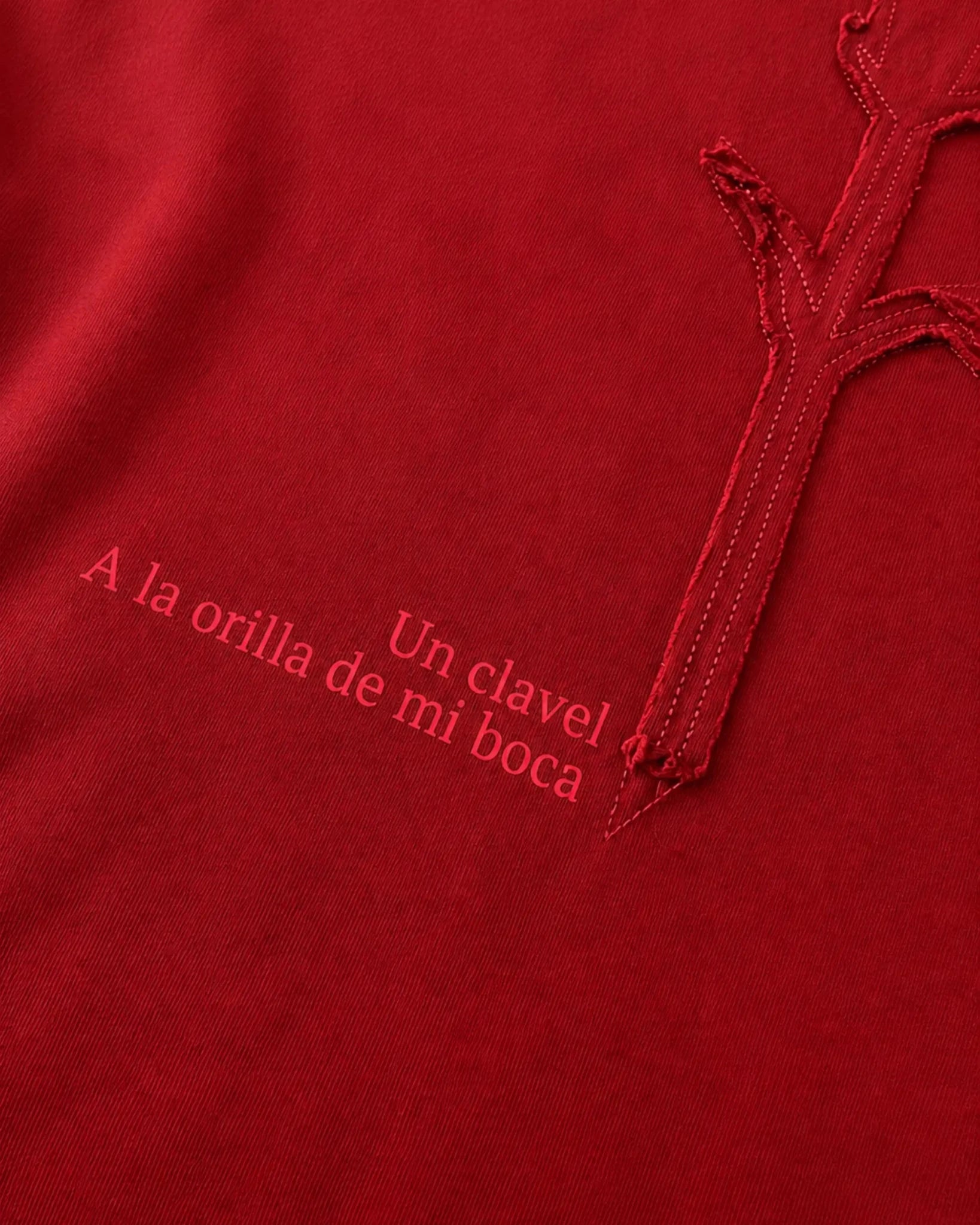 CAMISETA CLAVEL - RAZZA